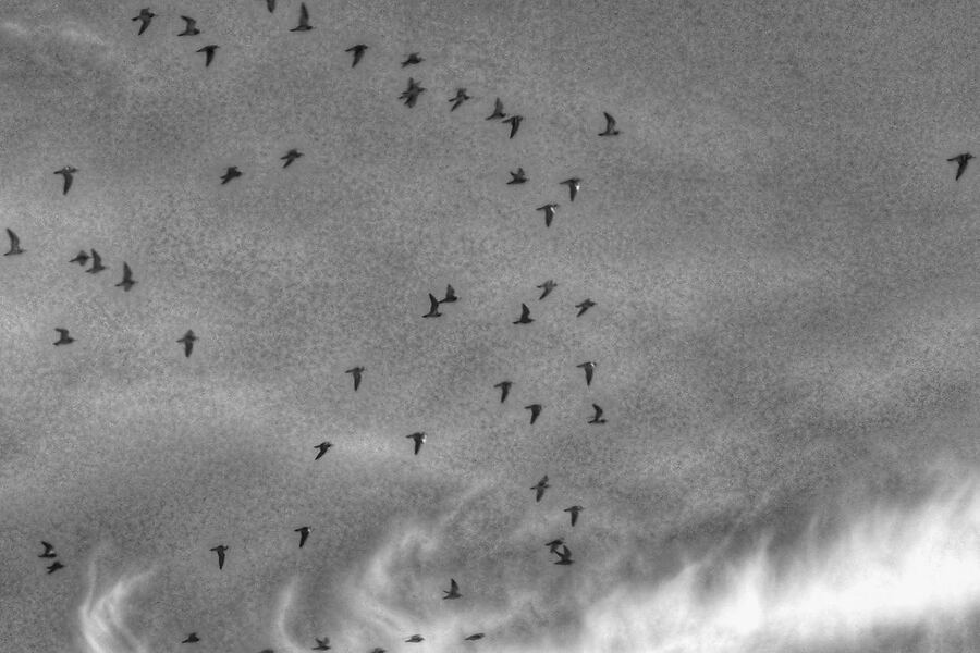 Inventario del cielo, 2024