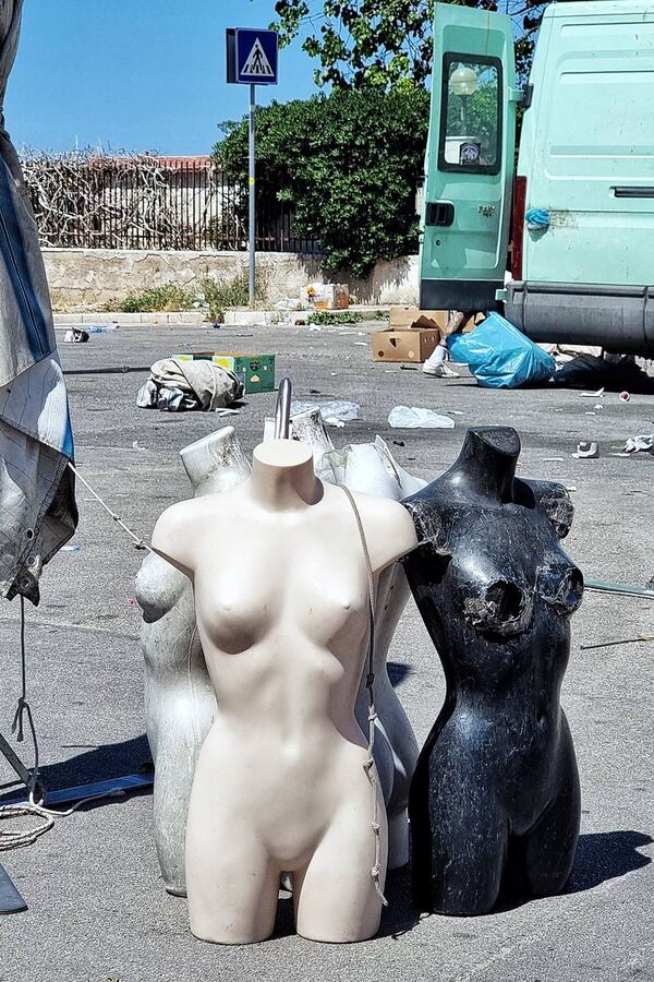 Corpi di scorta, 2024