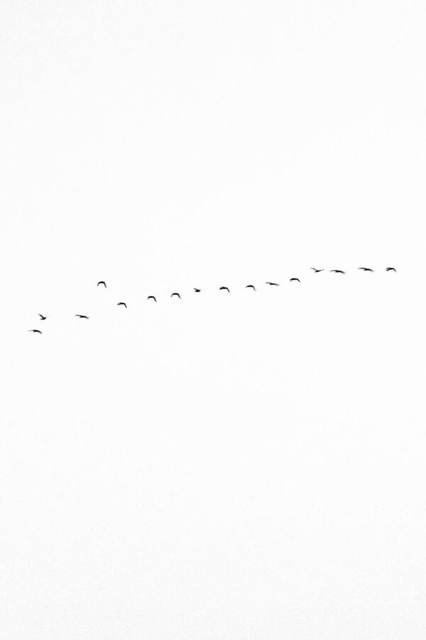 Inventario del cielo, 2025