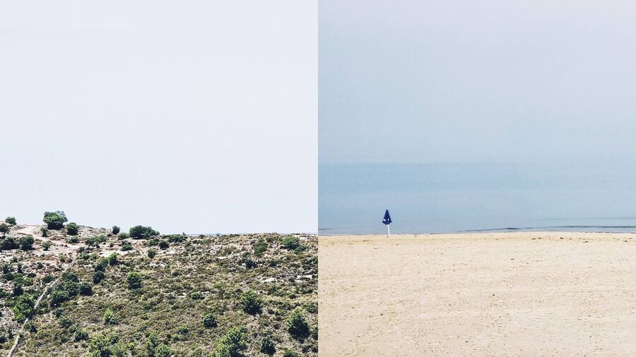 301 · 2024 · Dittici