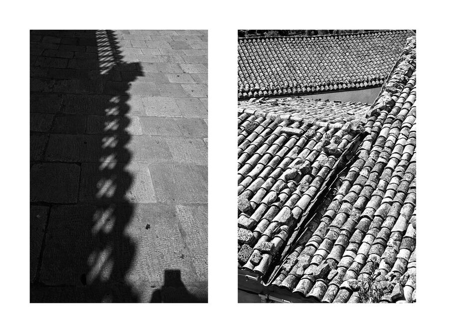 354 · 2025 · Dittici