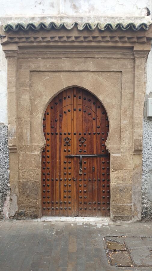 488 · 2023 · Porte
