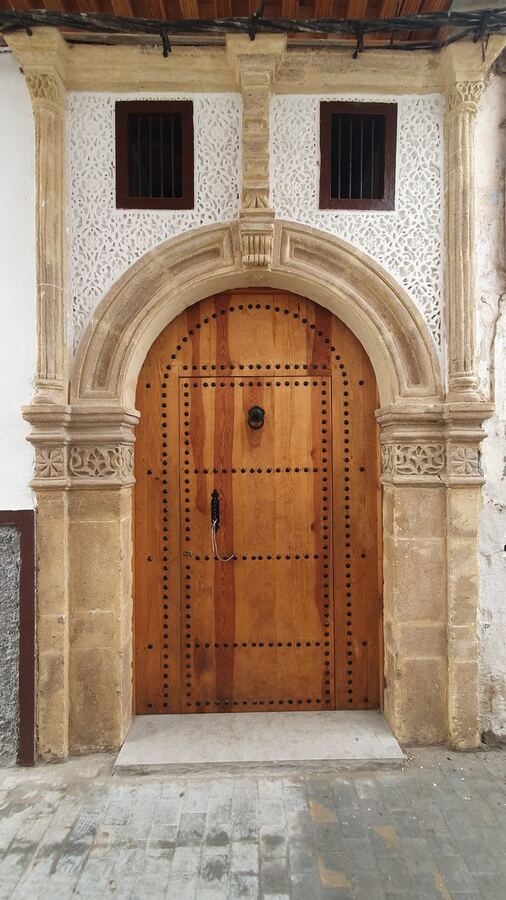 491 · 2023 · Porte
