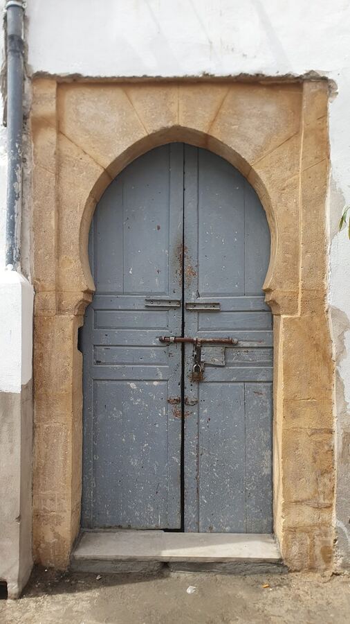 493 · 2023 · Porte