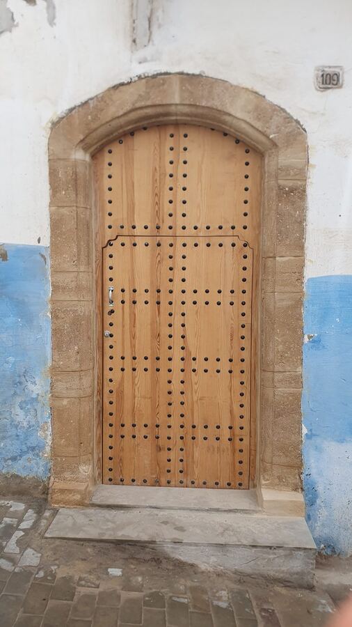 494 · 2023 · Porte