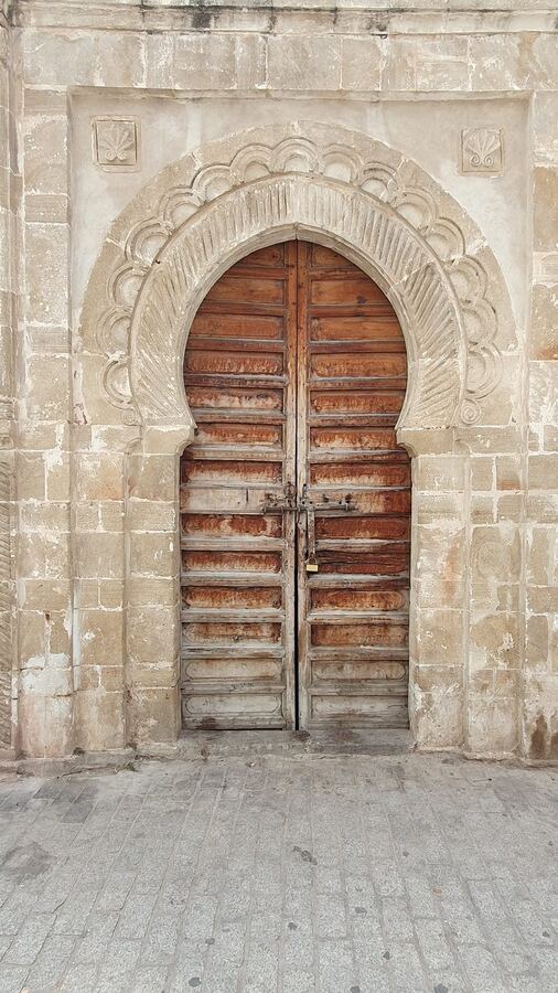 499 · 2023 · Porte