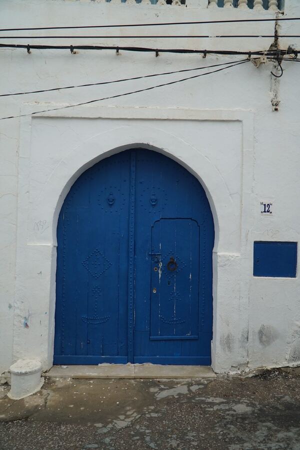 543 · 2024 · Porte