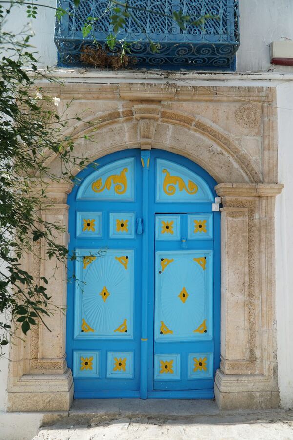 567 · 2024 · Porte